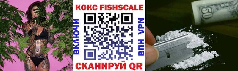 Cocaine Fish Scale  как найти наркотики  Белогорск 
