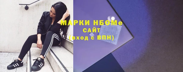 стафф Арсеньев