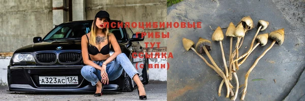 каннабис Горно-Алтайск