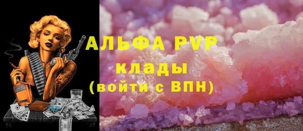 стафф Арсеньев