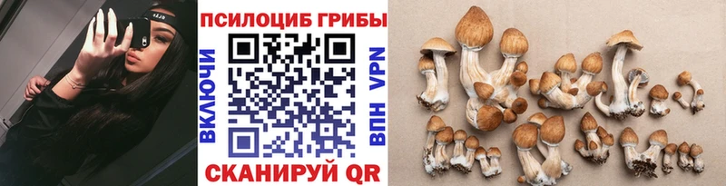 купить наркотик  сайты даркнета как зайти  Галлюциногенные грибы GOLDEN TEACHER  Белогорск 
